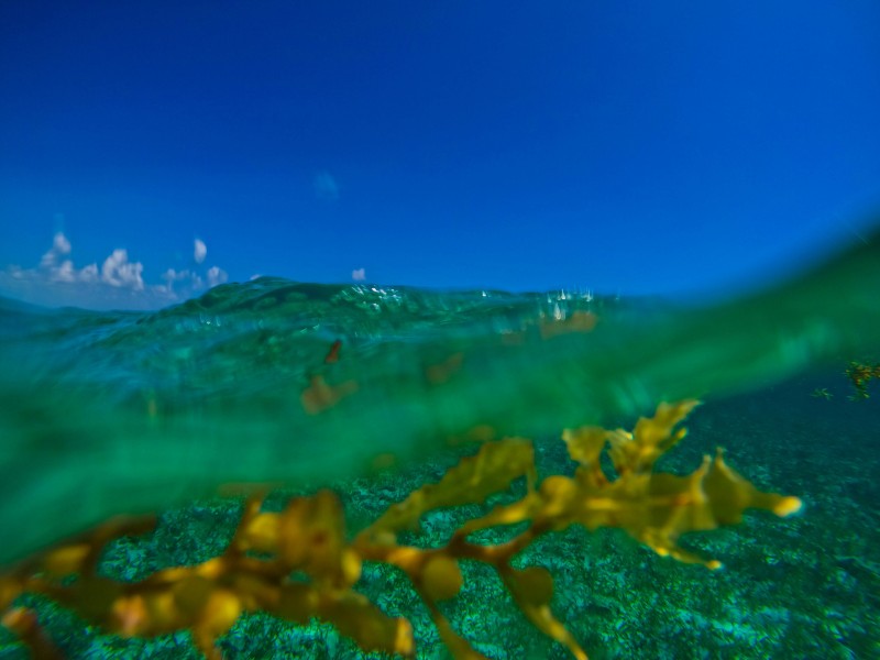 Caye Caulker