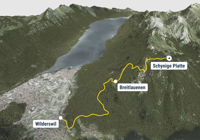 Cogwheel to Schynige Platte, Interlaken