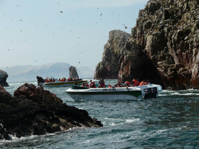 Sandboarding & Nazca Lines Adventure