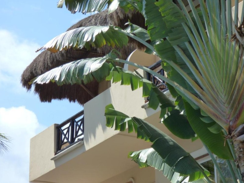 Riviera del Sol - Zimmer