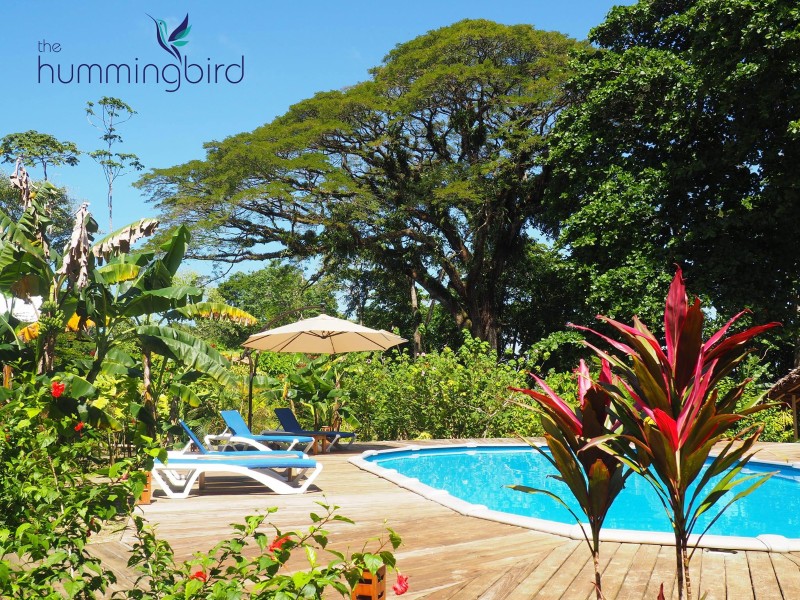 The Hummingbird - Pool