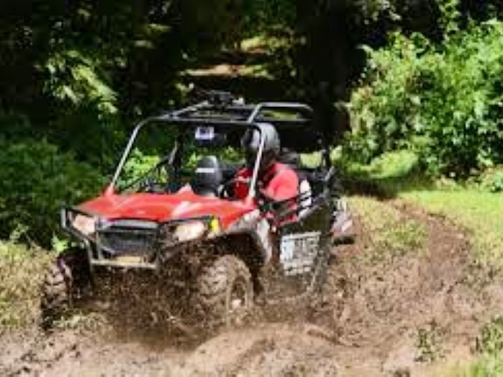 Dune BuggyTour