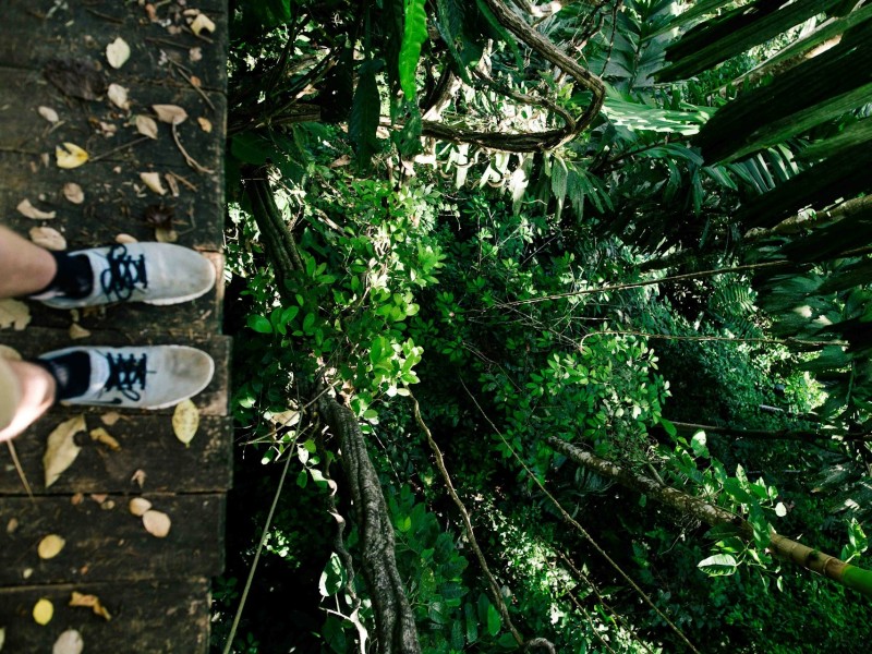 Zipline above the jungle