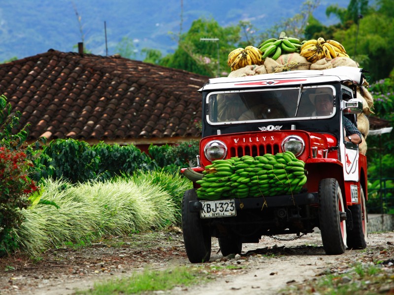 Armenia - Willy Jeep in Kaffeezone