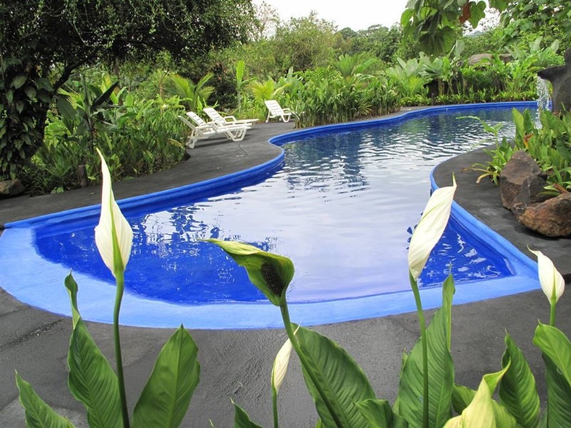 Maquenque Eco Lodge - Pool