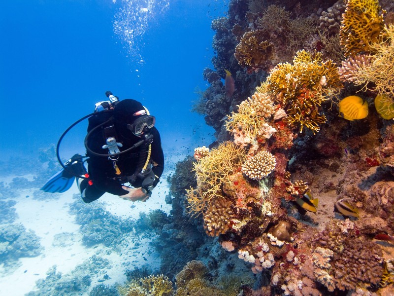 Bonaire - Diving