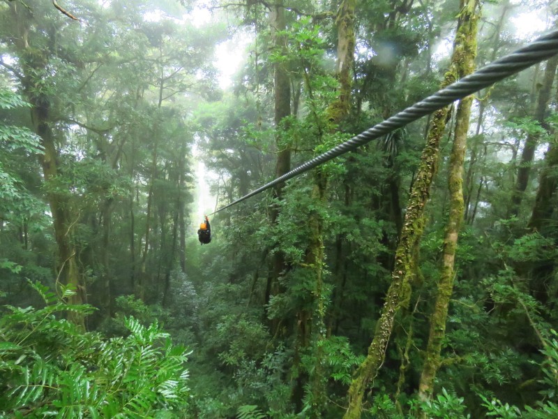 Canopy - Boquete