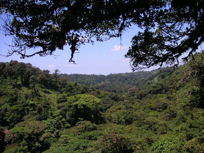 Aussicht Monteverde