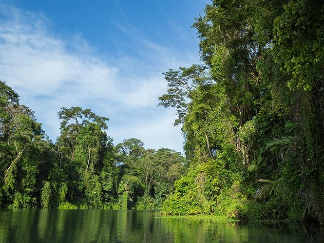 Tortuguero National Park