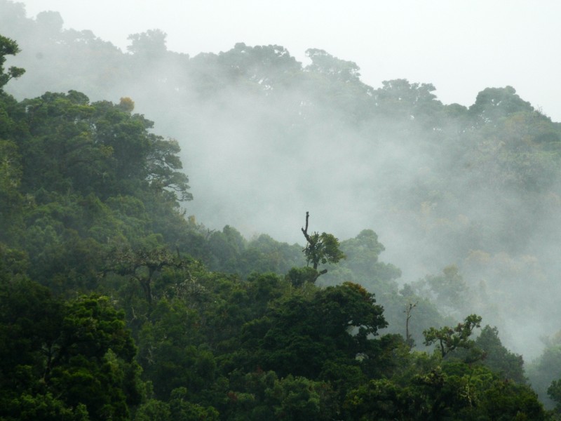 Savegre Hotel - Privates Reserve