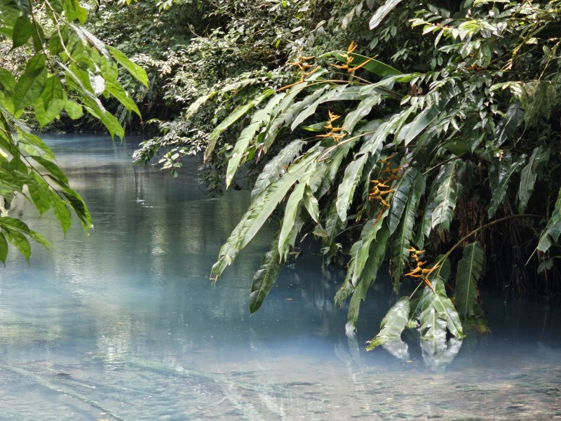 Tenorio - Lagune Rio Celeste