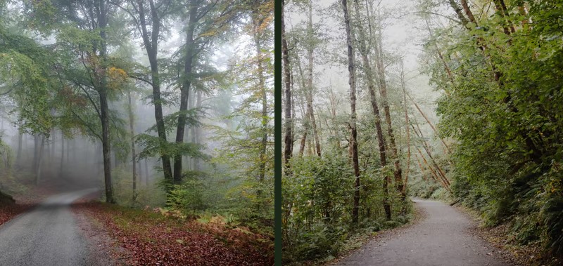 Guaycapi Birding Lodge