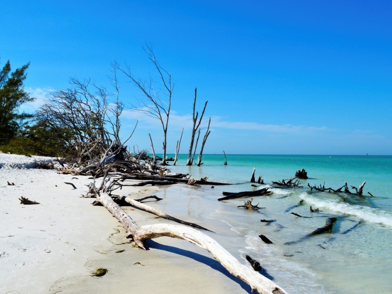 USA - Florida - Sarasota