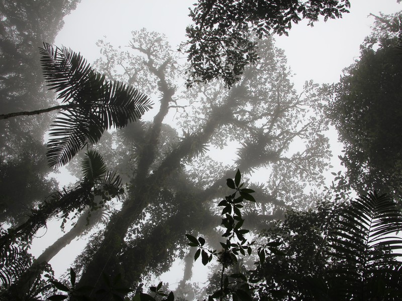 Naturschutzgebiet Bellavista