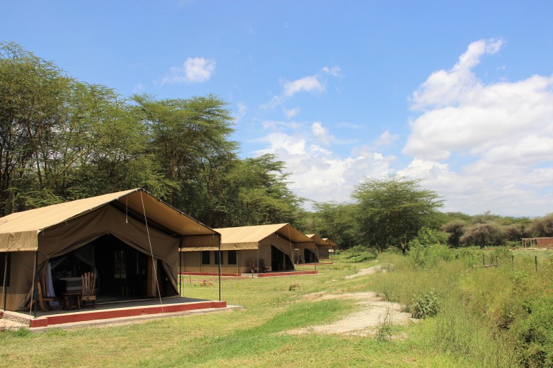 Lake Manyara Safari Comfort