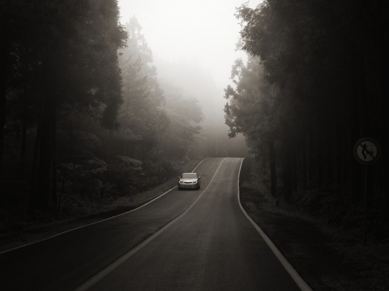 Bijarim Forest