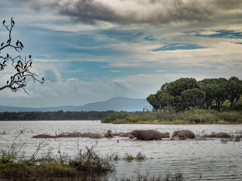 Tranquil, wild, picturesque