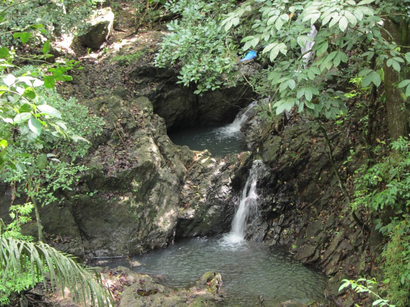 Soberania