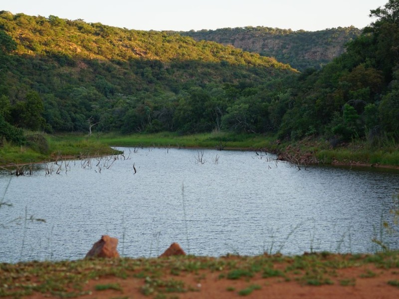 South Africa - Bela-Bela
