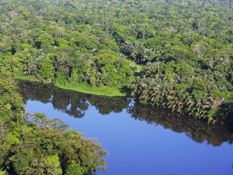 Tortuguero Nationalpark