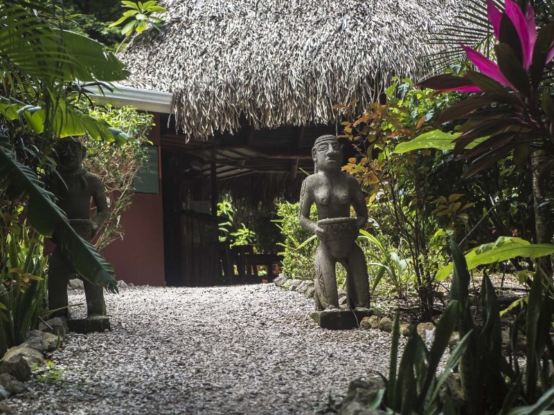 El Pequeño Gecko Verde - Garten