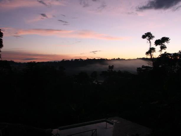 Twilight Over the Jungle