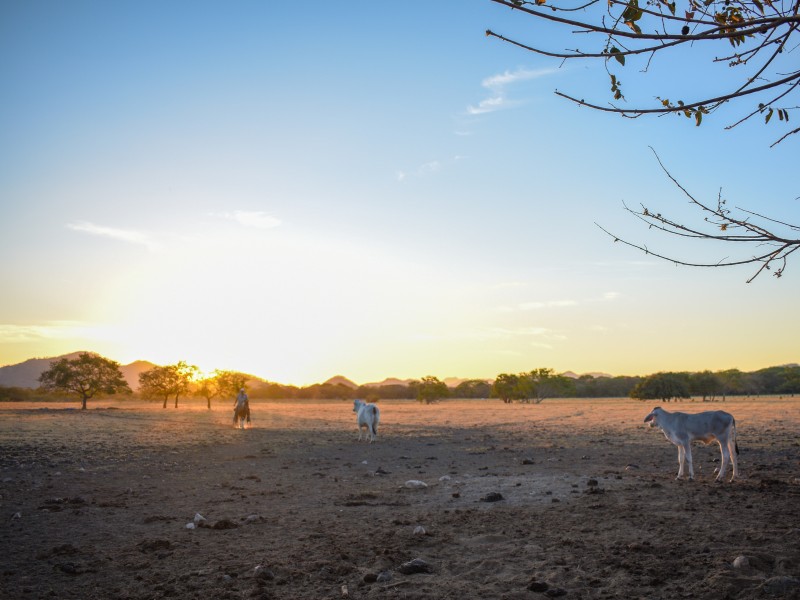 Guanacaste - Landschaft