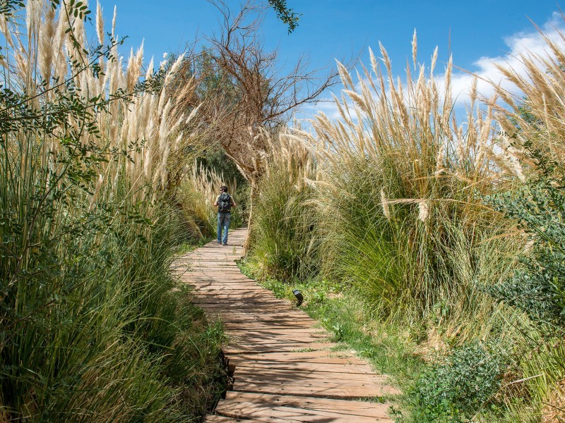 Explora Atacama - Spazierweg