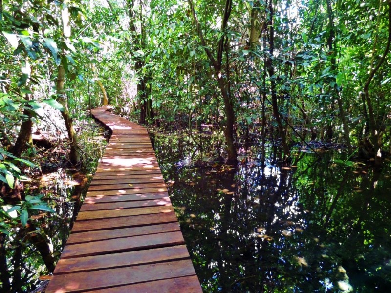 Muyil - Weg zur Lagune