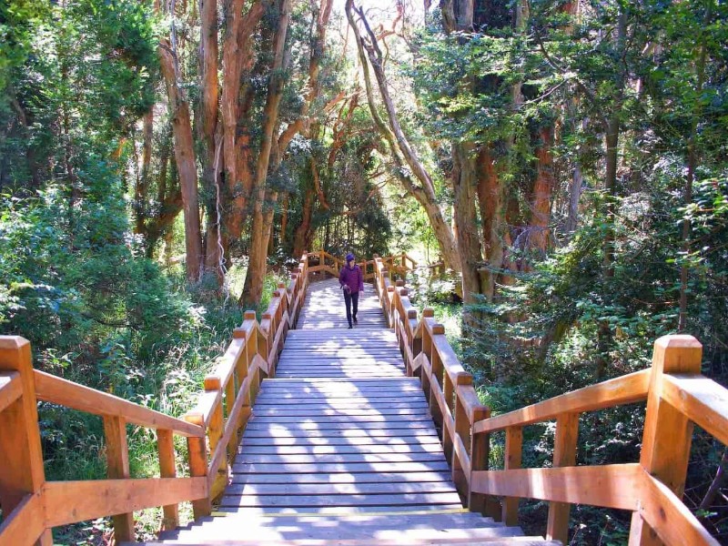 Los Arrayanes Nationalpark