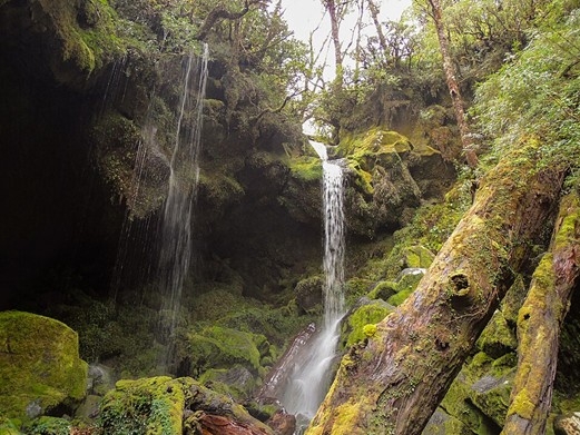 Hornopirén National Park