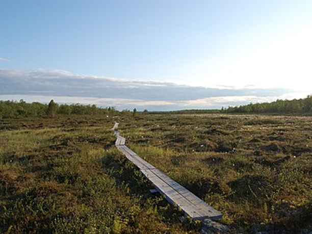 Finland - Saariselkä