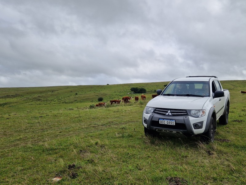 Estancia Los Platanos - Ausflug mit 4x4