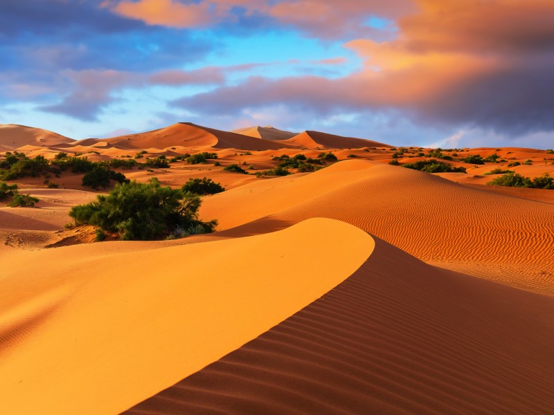 Marokko - Merzouga ©SCStock-gty