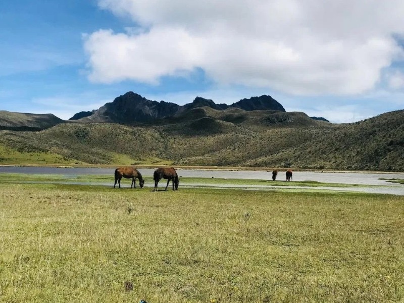 Ecuador Ecuador Nationalpark Cotopaxi