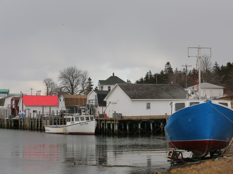 Digby harbour