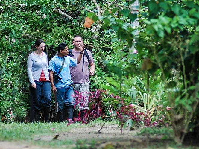 Iquitos Amazon Jungle