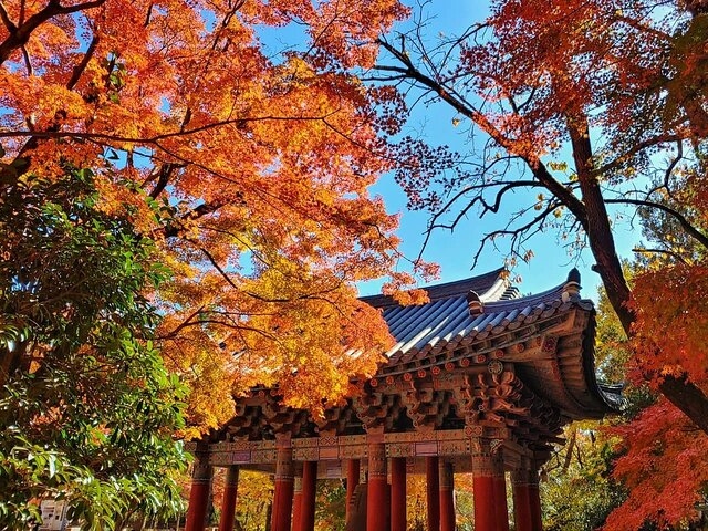 Old Korea Thousand History Tour