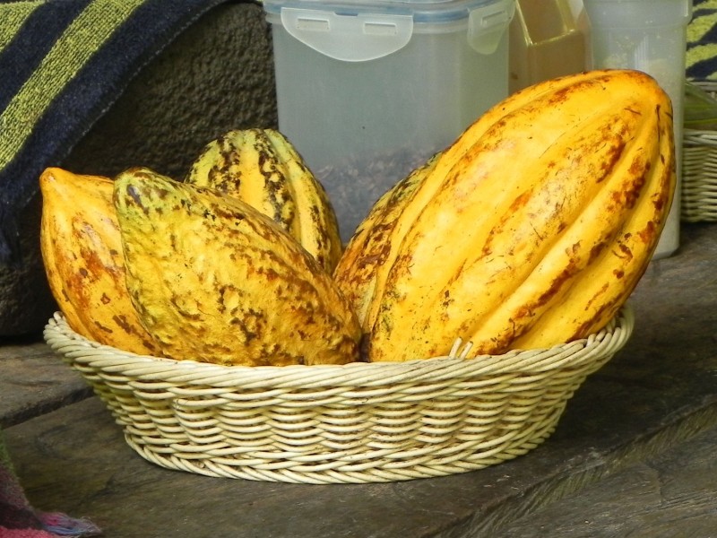 Kakao