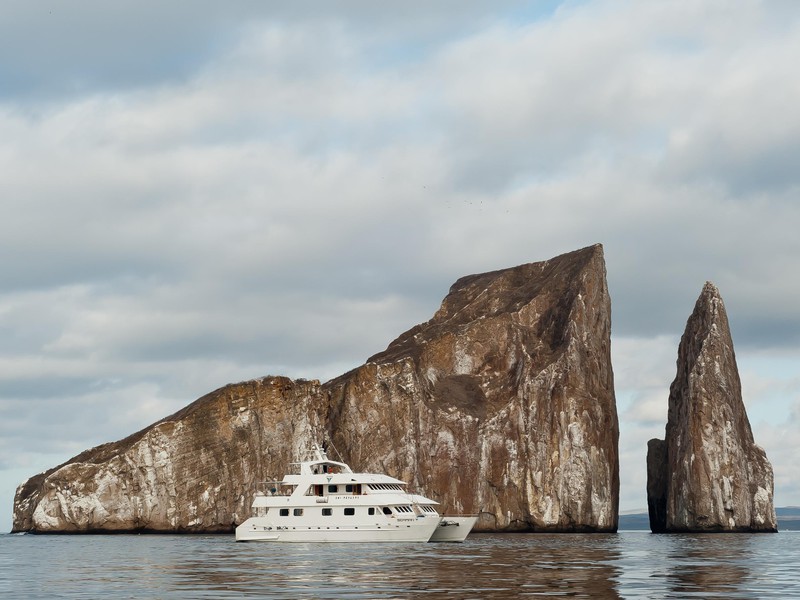Die Seaman Journey