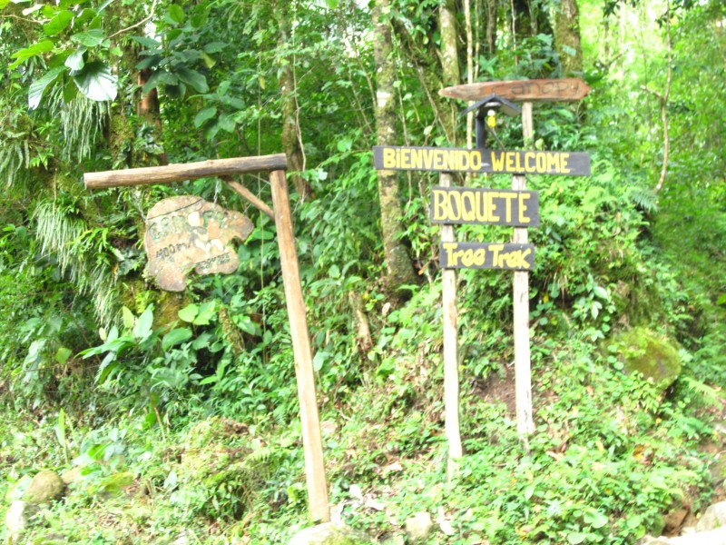 Tree Trek Mountain Resort 