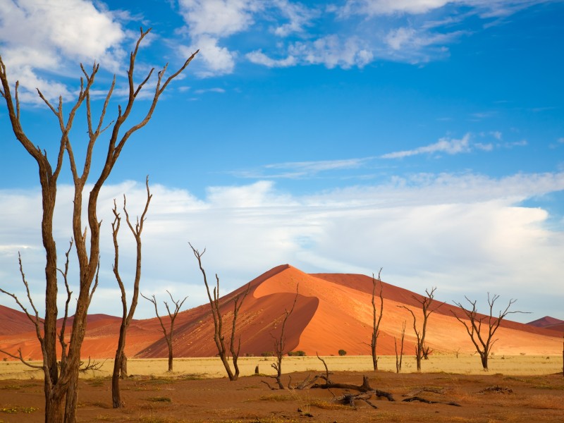 Namibia - Deadvlei ©LucynaKoch-gty