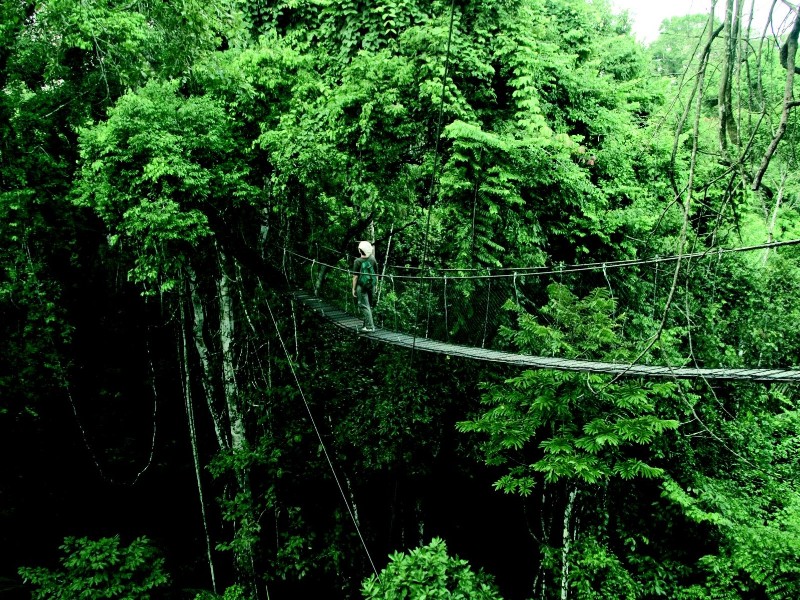 Reserva Amazonica - Canopy-Trail