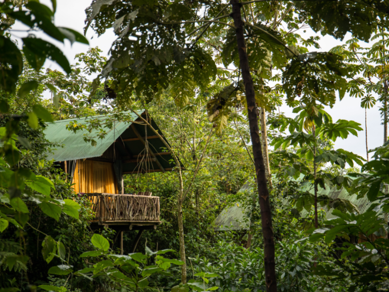 Tigra - Aussenbereich