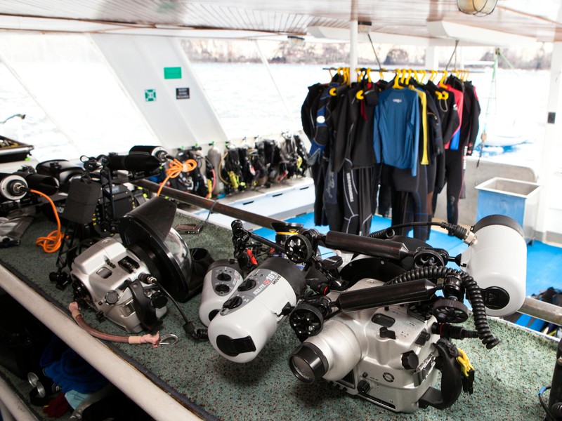 Alles dreht sich ums Tauchen