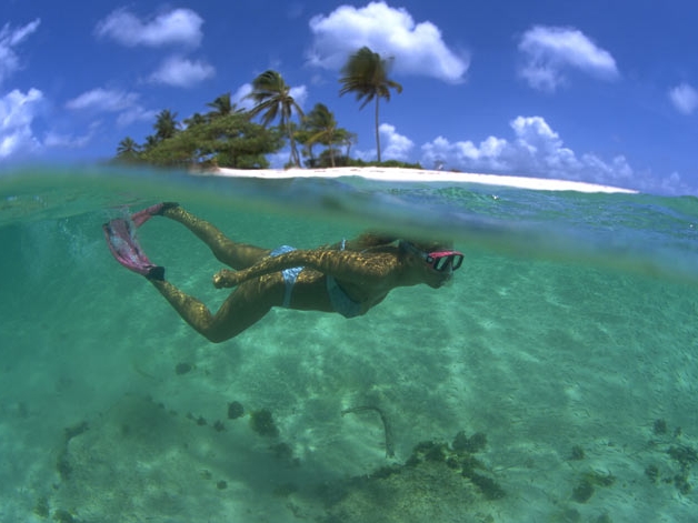 SNORKELLING OFF SANDY ISLAND CARRIACOU