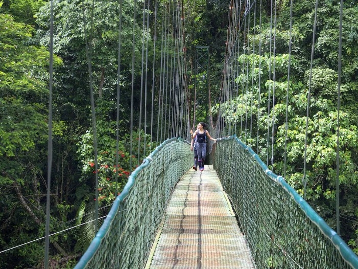 Selva Verde_Natur