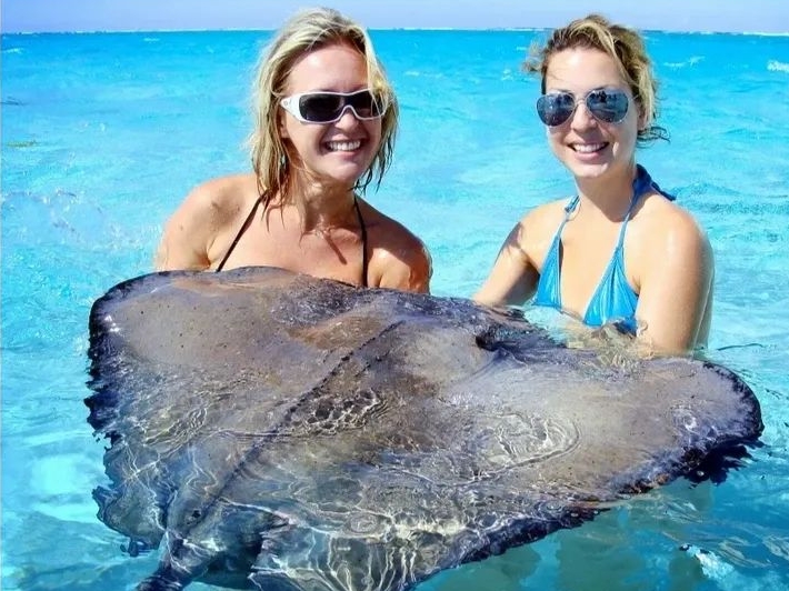 Sting Ray City