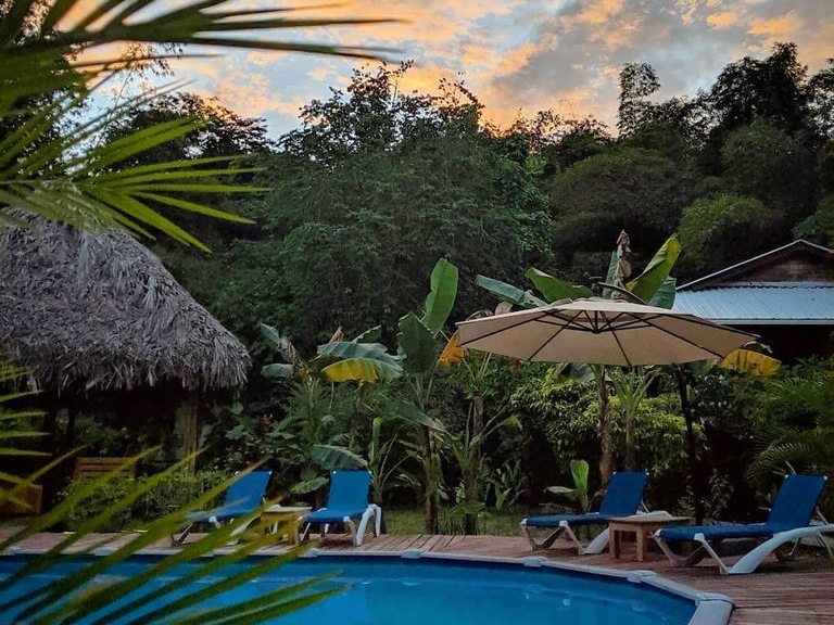 The Hummingbird - Pool