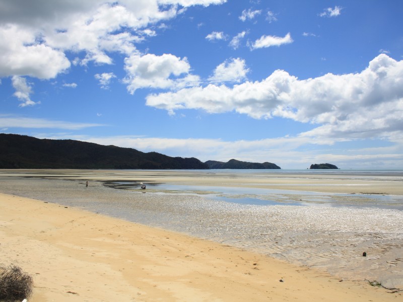 abel tasman-nelson-neuseeland